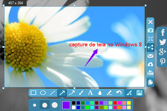 captura de tela no Windows 8
