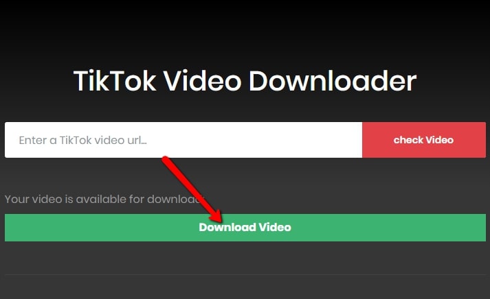 tiktok video downloader