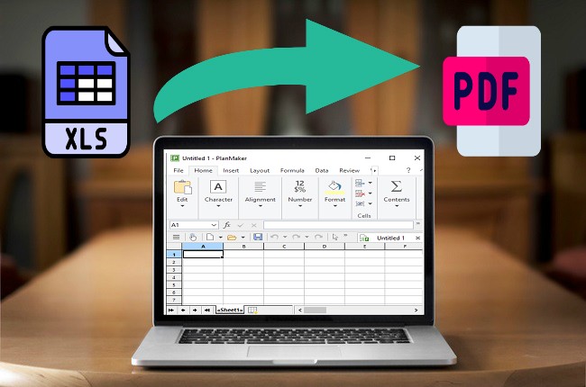 Easiest Solutions to Convert XLS to PDF
