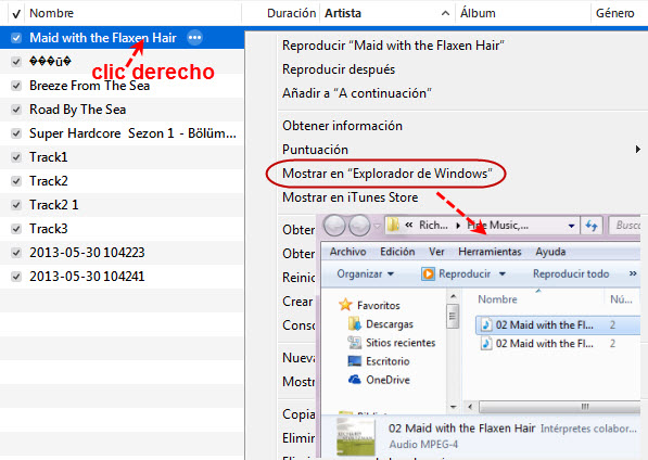 mostrar en Windows Explorer