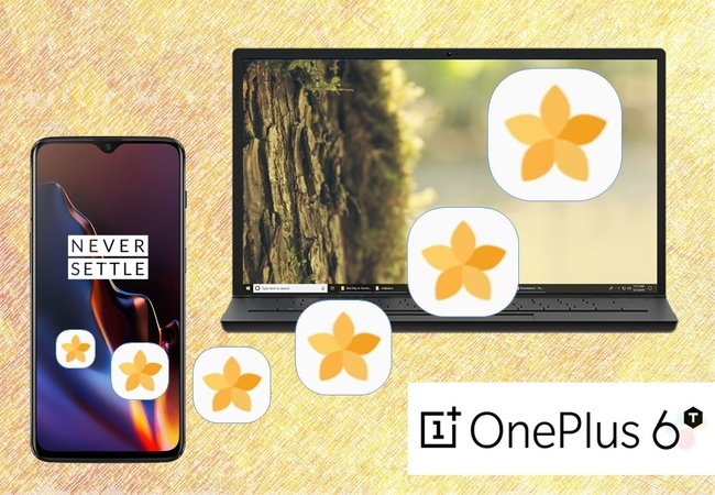 Fotos von OnePlus 6T auf den PC übertragen