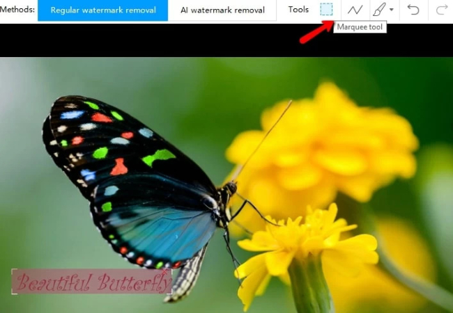 remove text from image with apowersoft watermark remover