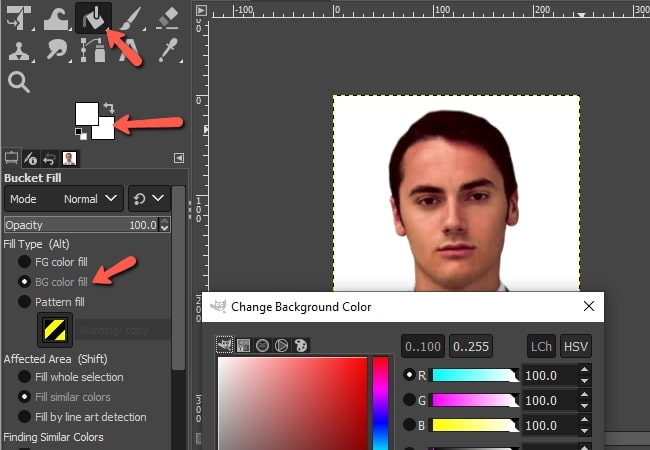 gimp for passport photo background color editor