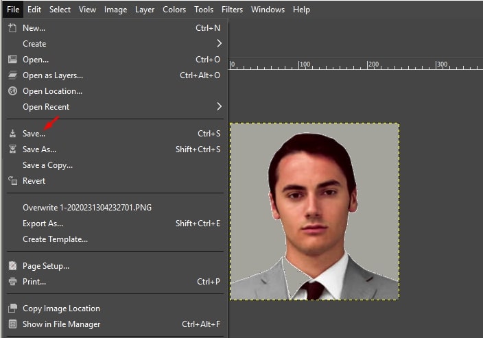 gimp save for passport photo background color editor