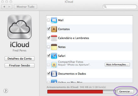 remover arquivos do iCloud usando um Mac