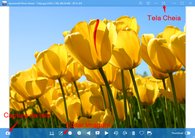 Visualizador de fotos para Windows 10