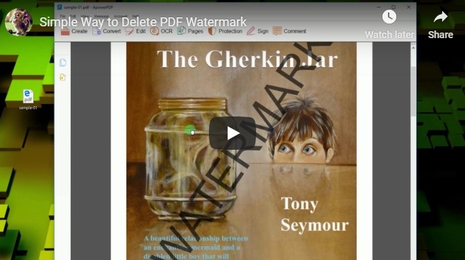 Video Delete PDF Watermark
