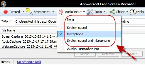 choose microphone as audio input