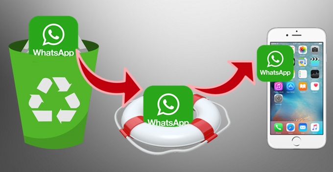 recover iPhone Whatsapp messages