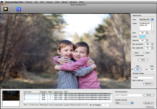 best free program to batch watermark photos