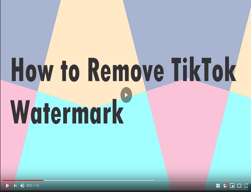 app to remove watermark from tiktok