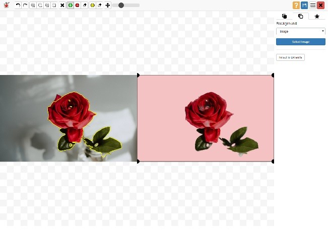Best Choices to Add Background to Image Online