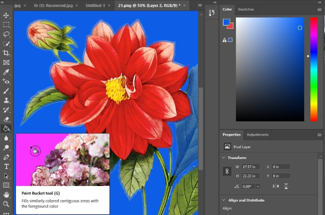 Amazing Tools that Can Change Color of PNG Image