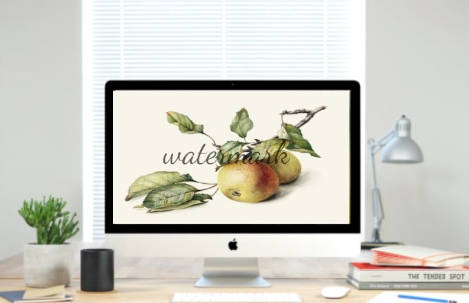 watermark software for mac featured image