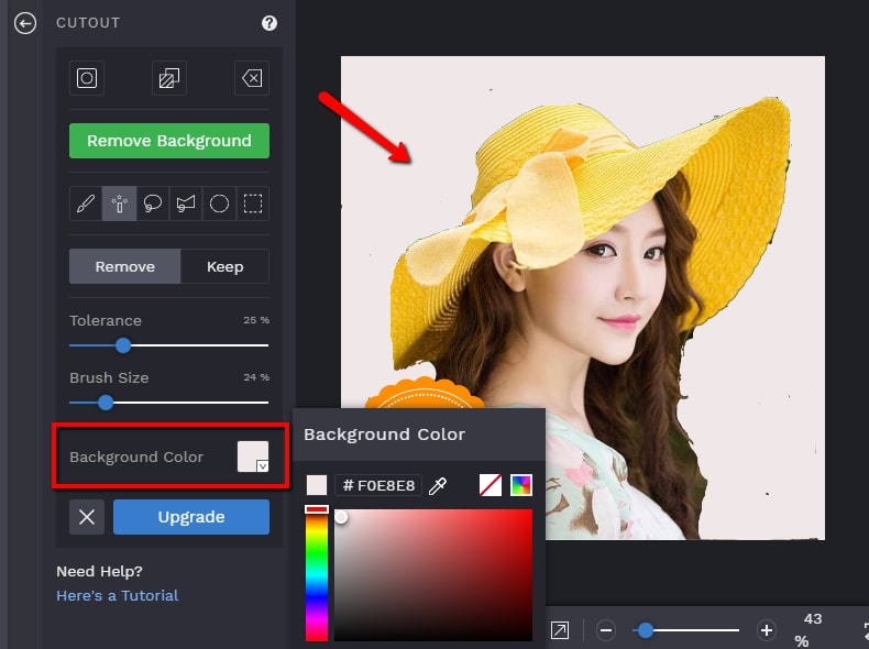 how to change picture background to white online