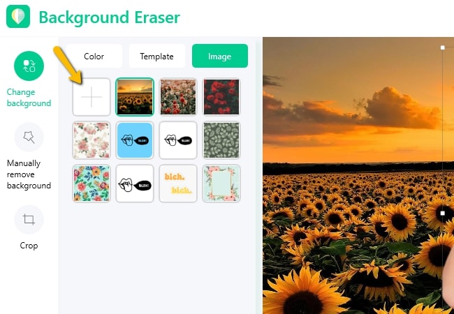 Best Photo Background Changer Software for PC of 2022