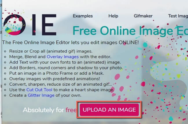 Add glitters to images  Free Online Image Editor