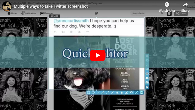 How to make Twitter screenshot
