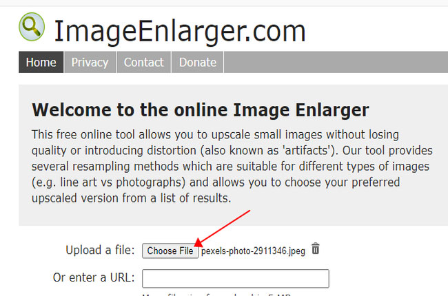 free photo enlarger software