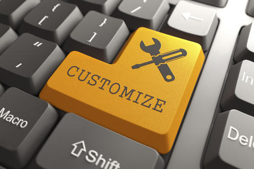 software customization service