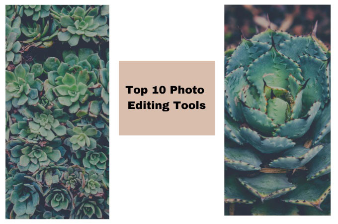 Top 10 Best Transparent Image Editor in 2022