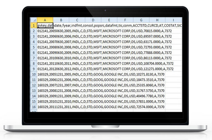 CSV mit Excel