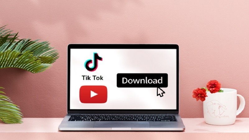 programas para descargar videos de Tik Tok