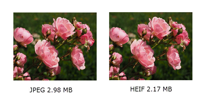 différence entre HEIF et JPEG