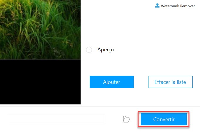 watermarkremover convertir