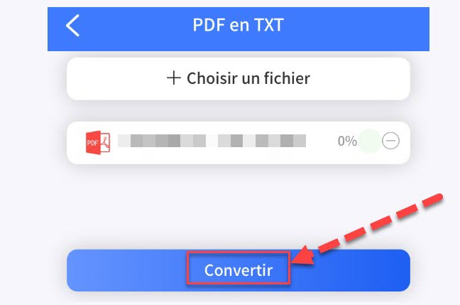 bouton convertir un PDF vers TXT