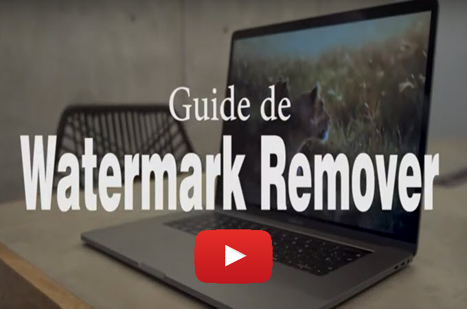 Guide de Watermark Remover