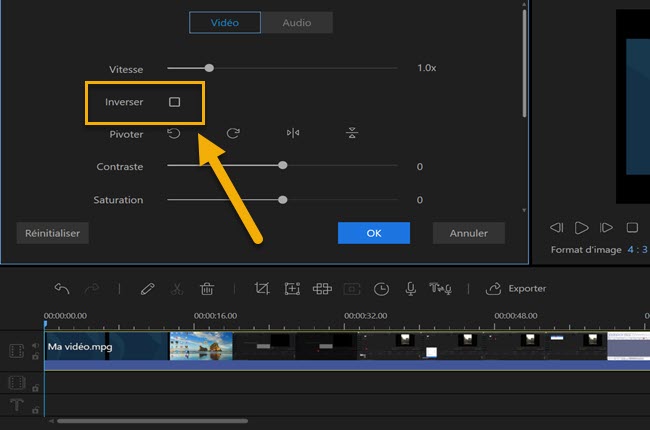inverser une vidéo Tik Tok cliquer inverser