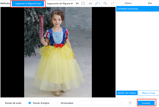 logiciel gratuit pour supprimer un objet sur une photo via watermark remover