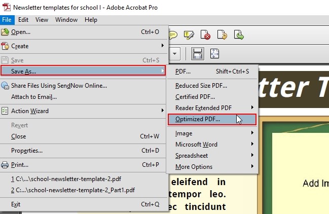 Adobe Acrobat PDF Optimizer