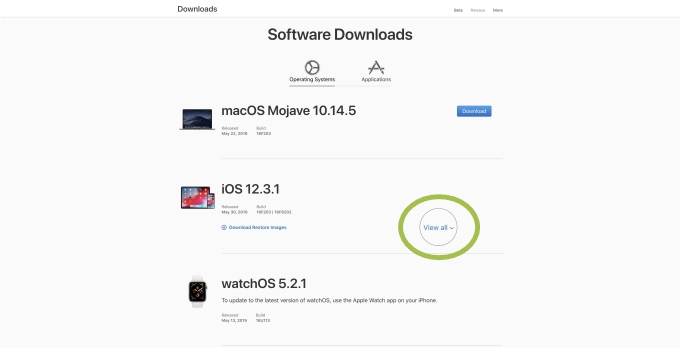 「iOS 13」ベータ版からiOS 12に戻す1