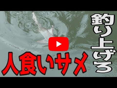 YouTube人気の釣り動画５選及び人気釣りチャンネルをお勧め