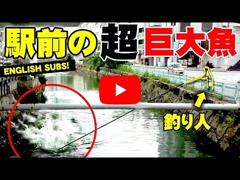 YouTube人気の釣り動画５選及び人気釣りチャンネルをお勧め