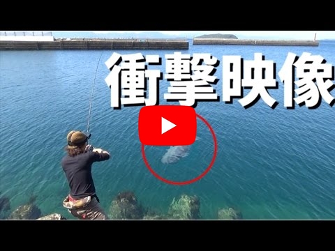 面白い釣り動画ベスト５ 釣りyoutubeチャンネルの紹介