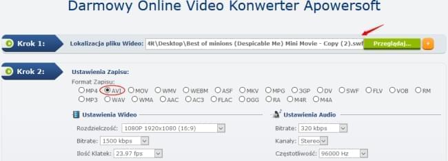 Zrzut ekranu konwersji SWF do AVI