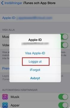 Radera ett Apple konto direkt från din iPhone