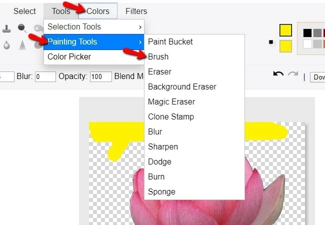 png resim çevrimiçi fırça aracının rengini değiştirme