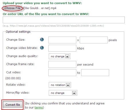 Online WMV Video Converter