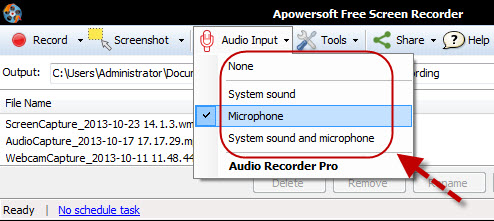 choose microphone as audio input