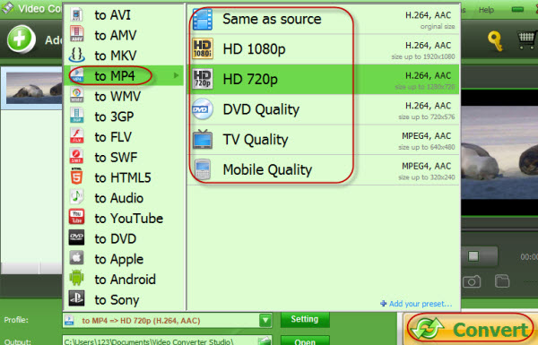 screenshot of converting AVI to MP4 with Video Converter Studio