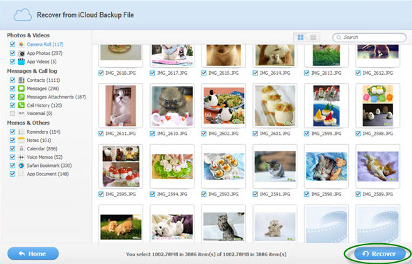 retrieve photos from iCloud screenshot