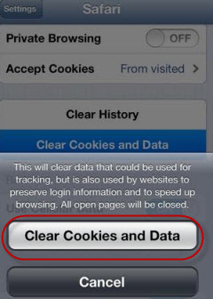 clean iPhone cookies from app setting 