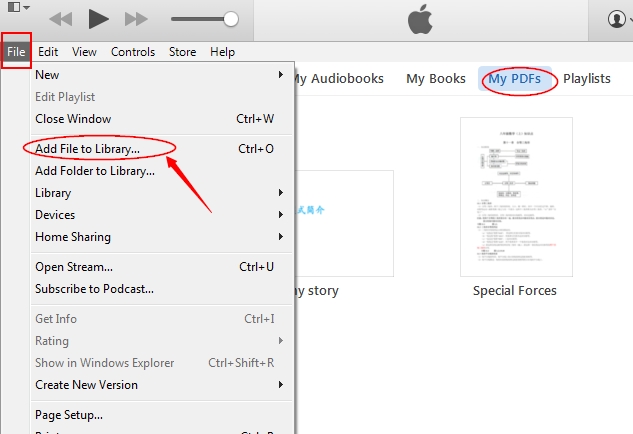 Add PDF to iTunes