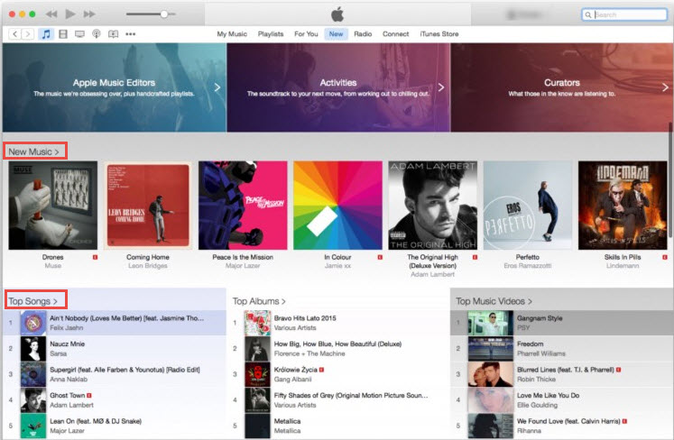 apple music database