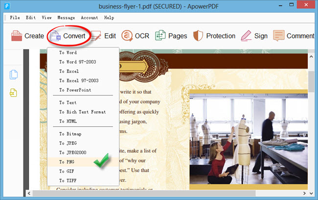 PDF to image converter