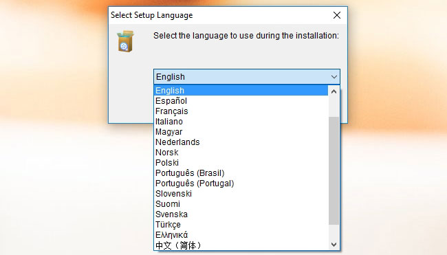 choose language